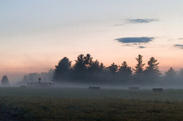 horse around barn