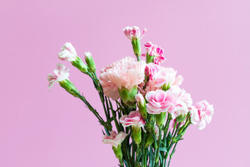 bouquet of carnation flowers with green leaves with pink background. romantic concept for lovers and valentine
