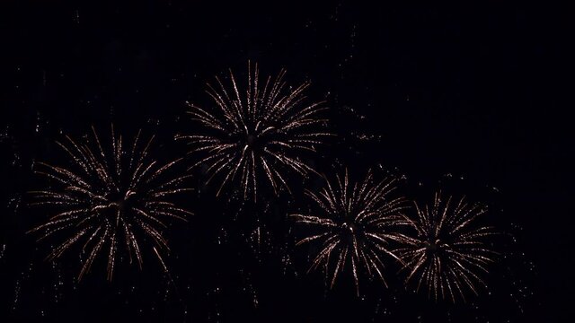 Colorful vibrant fireworks illuminate dark sky background for celebration
