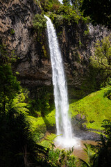 Bridal Veil Falls, Raglan, Waikato, New Zealand