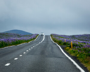 Car coming down the road