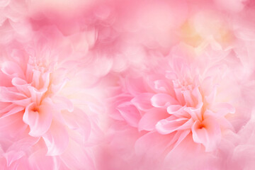 flower on bokeh background for beauty products