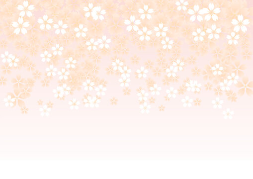 桜背景横 のストック写真 ロイヤリティフリーの画像 ベクター イラスト Adobe Stock
