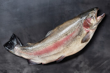 Fresh raw sea trout on black background