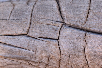 Wood texture
