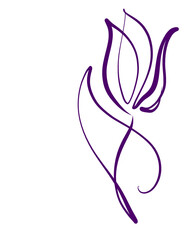 Drawing vector graphics with floral pattern for design. tulip 