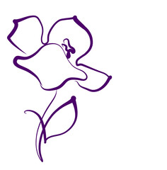 Drawing vector graphics with floral pattern for design. tulip 