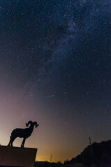 Obraz na płótnie Canvas Milky way and meteor on ram silhouette billboard background