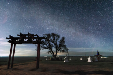 Naklejka na ściany i meble Milky way and meteor on a moonlit night. Buddhist symbolism. Location Lonely poplar, Elista, Republic of Kalmykia.
