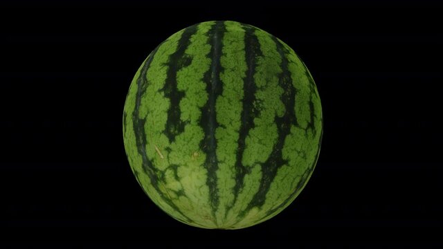 Realistic render of a rolling Watermelon on transparent background (with alpha channel). The video is seamlessly looping, and the 3D object is scanned from a real watermelon.
