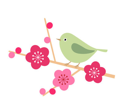 梅とウグイスのベクターイラスト Stock Vector Adobe Stock