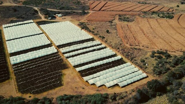 Vista a&eacute;rea de las casas verdes de bayas en Tapalpa, campo agr&iacute;cola de Jalisco M&eacute;xico