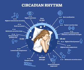 Circadian rhythm as educational natural cycle for healthy sleep and routine