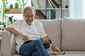 Happiness elderly asian man sitting on sofa and using computer tablet and smile with dog pug breed at home,Senior lifestyle at home concept