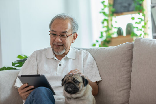 Happiness elderly asian man sitting on sofa and using computer tablet and smile with dog pug breed at home,Senior lifestyle at home concept