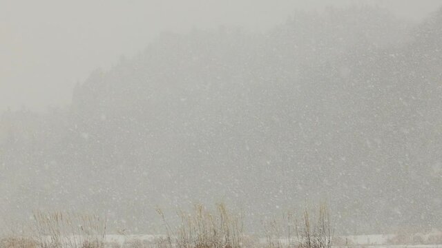 雪景色　冬　大雪　イメージ