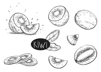 Hand drawn sketch black and white set of kiwi fruit, leaf, slice. Vector illustration. Elements in graphic style label, card, sticker, menu, package. Engraved style illustration.