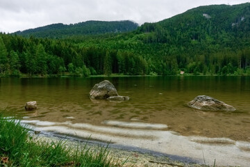 shore with rocks and soft water in the green nature landscape