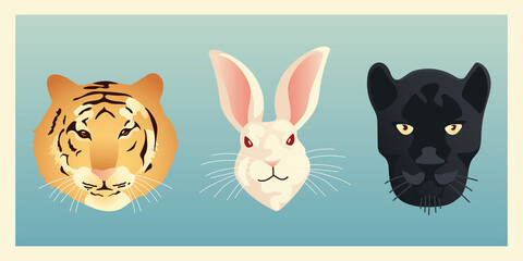 tiger rabbit and panther animals faces wildlife nature style