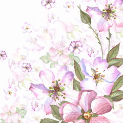 watercolor background with pink flowers