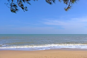 Scene of sand and sea with bright blue sky and pine leaves tree on the top of the frame.