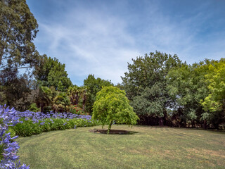 Oval Garden 