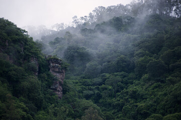 Obraz premium mountain and rocks on a foggy morning