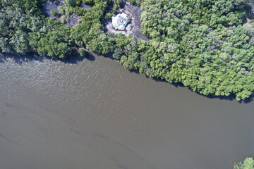 mangrove forest aerial view photography drone