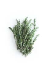 Rosemary, Isolated in White