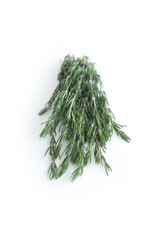 Rosemary, Isolated in White