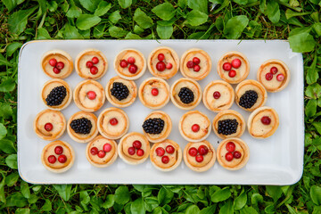 Canape buns with hummus, Lingonberry and blackberry.