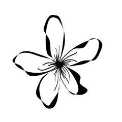 Simple with hand drawn flower in doodle style,one ink floral element for web design,tender isolated on white bsckground blooming flower outline,can be used for decoration