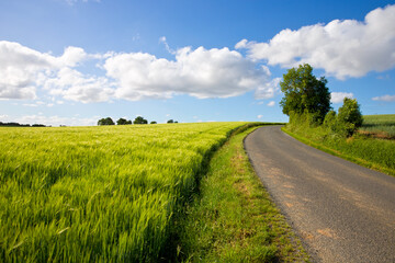 Fototapeta na wymiar Route de campagne en France traversant un paysage de campagne au printemps.