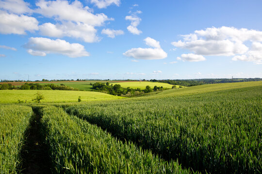 Paysage de campagne agricole en France. © Thierry RYO
