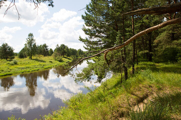 River in summer on a sunny day, green grass and forest. Reflection in the water. Domestic tourism, ecotourism, unity with nature. Clean environment, protection. Water hiking and camping. Summertime.