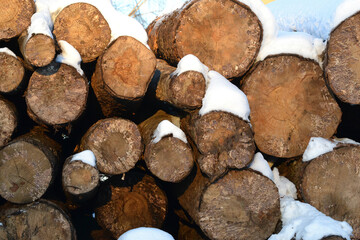 A pile of sawn-off logs lies on the ground in snow