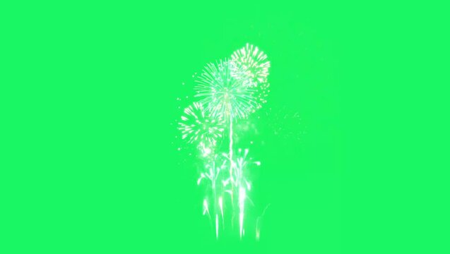  Animation colorful firework on green background.

