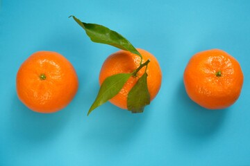 Tangerines fruits with leaves close-up on a bright blue background.Citrus fruits set.Winter...