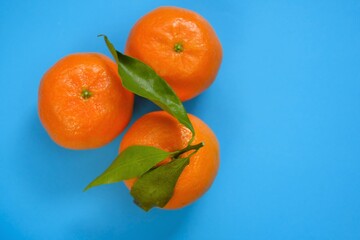 Tangerines fruits with leaves close-up on a bright blue background.Citrus fruits set.Winter fruits.