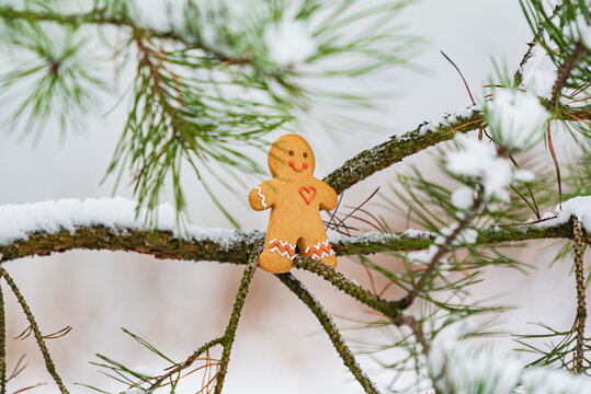 happy gingerbread man on the branch