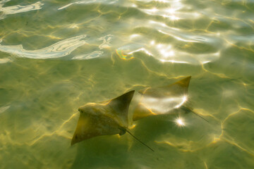 Holbox island in Mexico