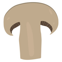 Vector hand drawn mushroom on white background
