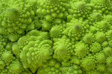 Close up detail of fractal formations in Nature via a Romanesco broccoli
