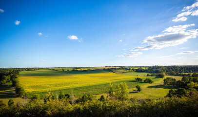 Paysage de campagne au printemps, champ de colza et pâturage en France.