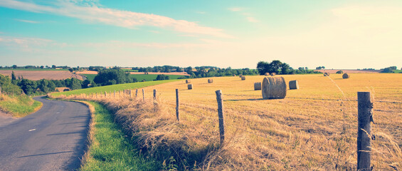 Paysage agricole, meule de foin dans les champs après la moisson. © Thierry RYO