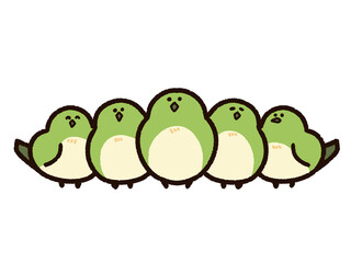 かわいいウグイスの群れ