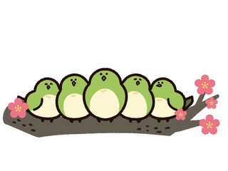 梅の枝に並ぶかわいいウグイス