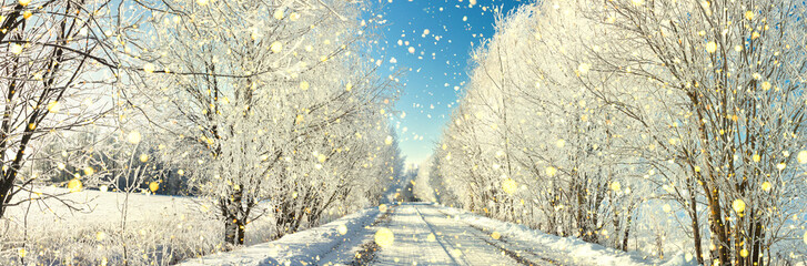 snowy winter landscape panorama with forest and road