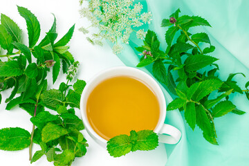 Herbal tea of fresh melissa or lemon balm, pepper mint and anise on white background. Cup of herbal tea and ingredients. Herbal medicine concept