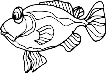 
Sea food, fish, shellfish, crabs, delicacies. Graphic illustration hand-drawn, doodle, sketch, engraving. Print, textiles, paper.